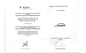  Oversea Trademarks Registration – EU registered