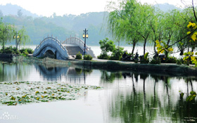 Seaory Renzhe sales team’s autumn trip to Shanghai, Suzhou and Hangzhou