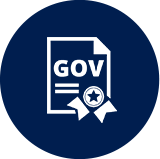 Правительство